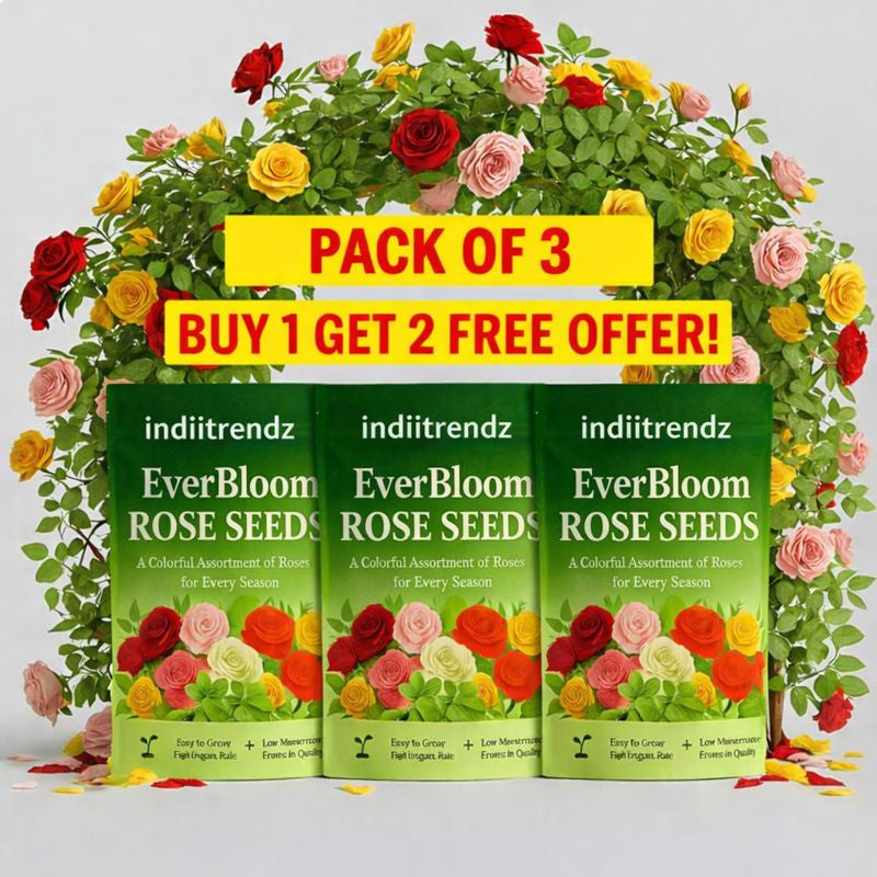 EverBloom Elegant Climbing Rose Flower Seeds - 9(BUY 1 GET 2 FREE)