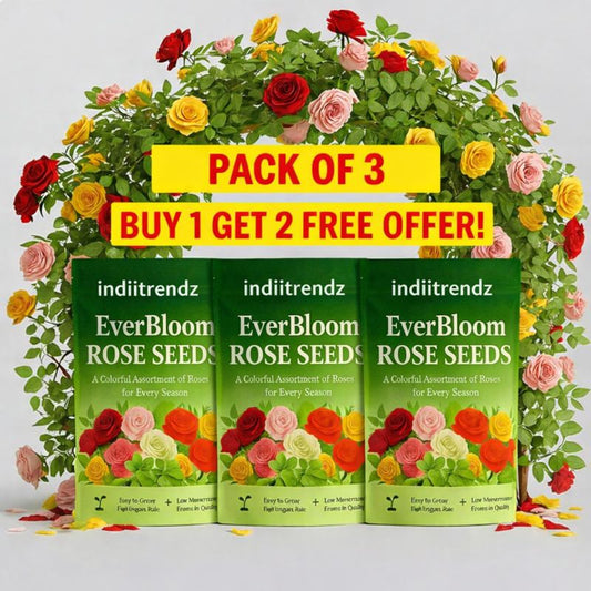 EverBloom Elegant Climbing Rose Flower Seeds - 9(BUY 1 GET 2 FREE)